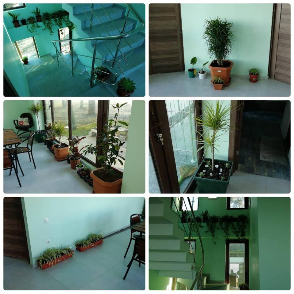 Shekvetili Green House 外观 照片